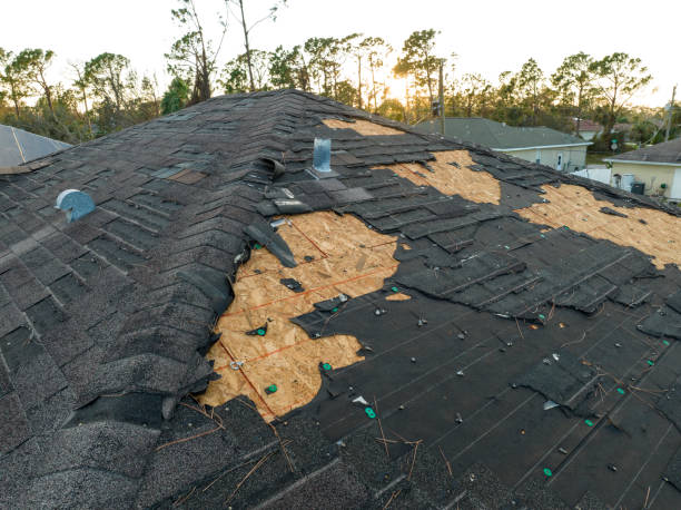 Fast & Reliable Emergency Roof Repairs in Laguna Vista, TX